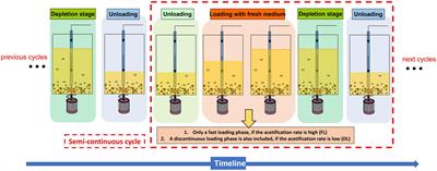 Combining omics tools for the characterization of the microbiota of diverse vinegars obtained by submerged culture: 16S rRNA amplicon sequencing and MALDI-TOF MS